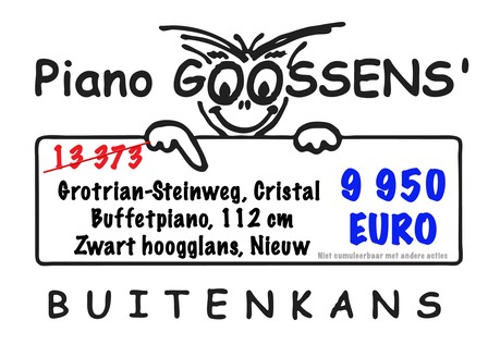 Grotrian steinweg cristal