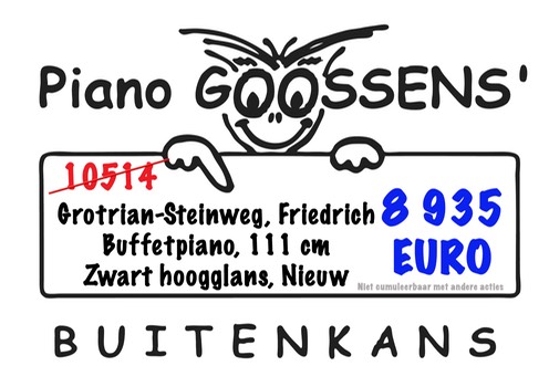 Grotrian steinweg friedrich studio